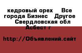 кедровый орех  - Все города Бизнес » Другое   . Свердловская обл.,Асбест г.